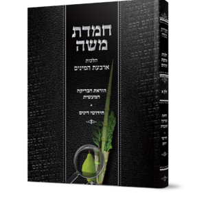 חמדת משה